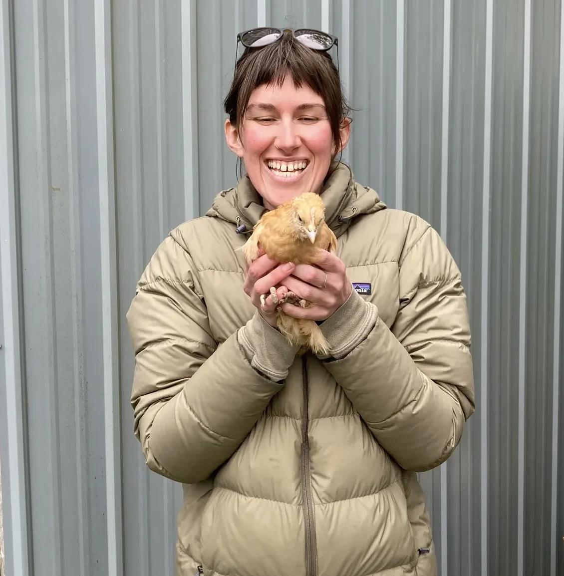 Corinna Ruth freelance grant writer for small non profits holding a chicken.